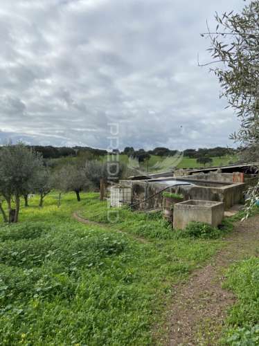 Moradia t1 com terreno de 3300mts2