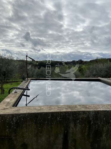 Moradia t1 com terreno de 3300mts2