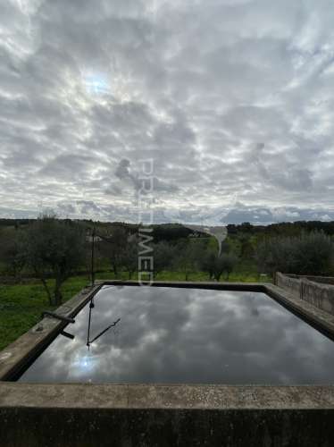 Moradia t1 com terreno de 3300mts2