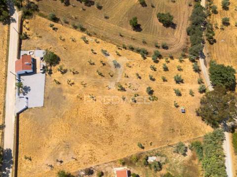 Monte alentejano t2 - recuperado - alcáçovas