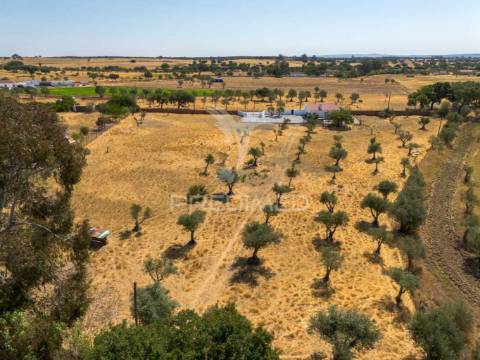 Monte alentejano t2 - recuperado - alcáçovas