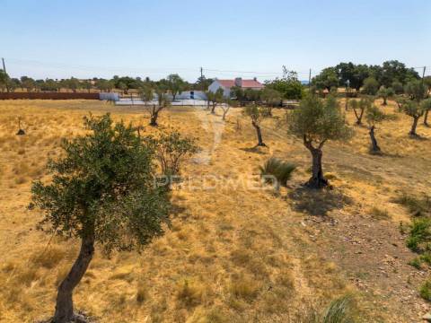 Monte alentejano t2 - recuperado - alcáçovas