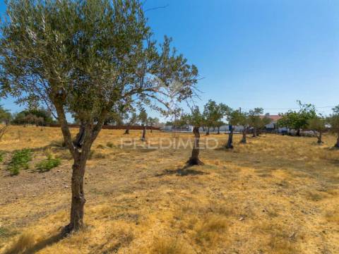 Monte alentejano t2 - recuperado - alcáçovas