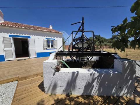 Monte alentejano t2 - recuperado - alcáçovas