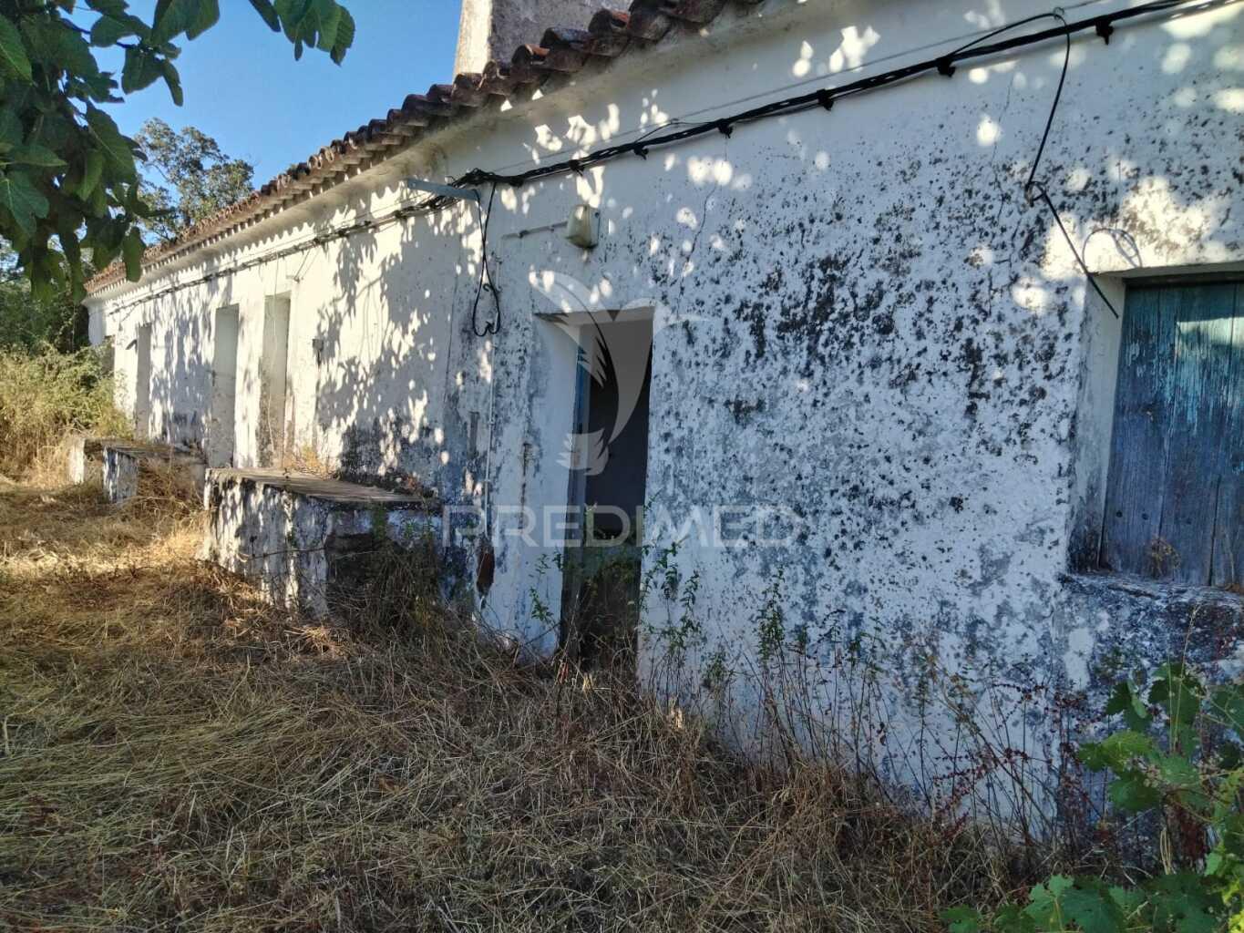 Quinta