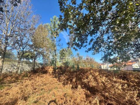 Terreno para construção - prazins