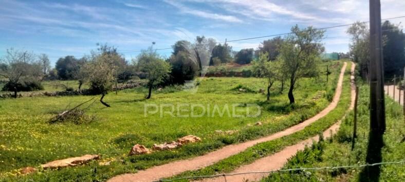 Terreno rustico com  casa