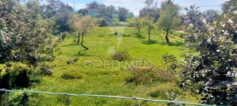 Terreno rustico com  casa