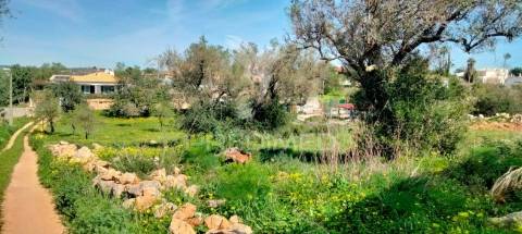 Terreno rustico com  casa habitável