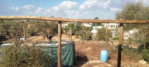 Terreno rustico com  casa habitável