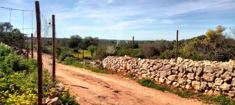 Terreno rustico com  casa habitável