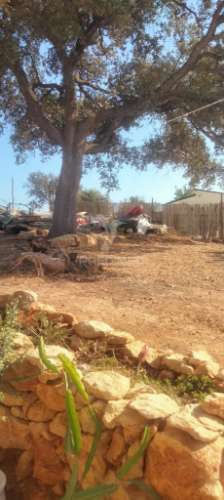 Terreno rustico com  casa habitável