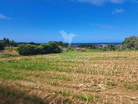 Moradia com espaço comercial - biscoitos