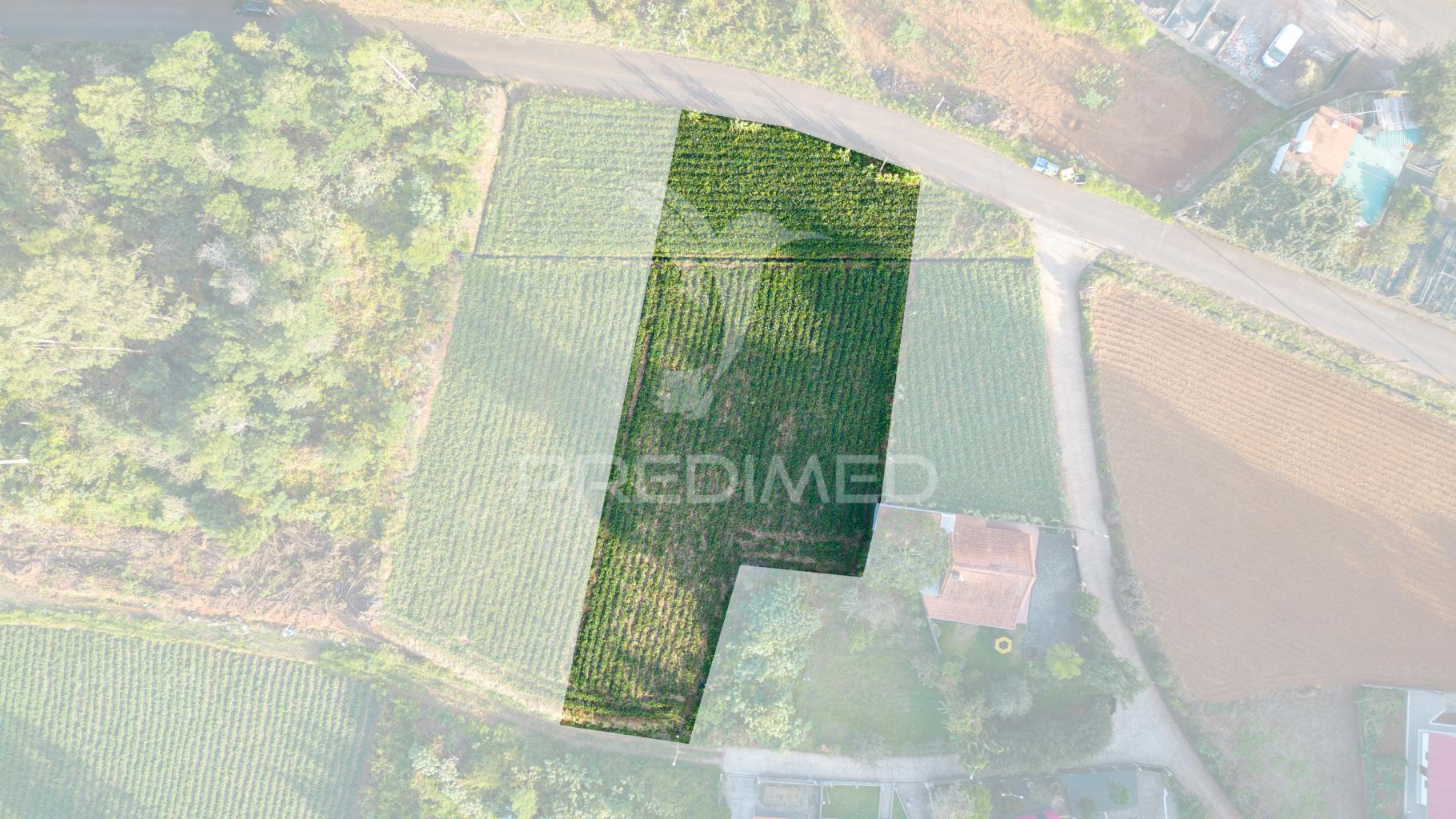 Terreno  com 1510m2 em são jorge - ilha da madeira