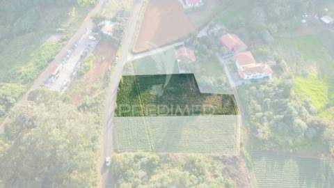 Terreno  com 1510m2 em são jorge - ilha da madeira