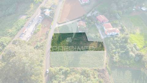 Terreno  com 1510m2 em são jorge - ilha da madeira