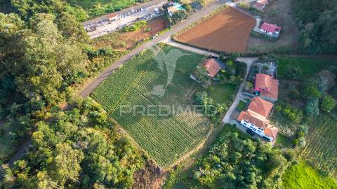 Terreno  com 1510m2 em são jorge - ilha da madeira