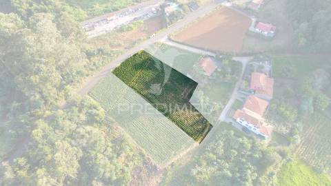 Terreno  com 1510m2 em são jorge - ilha da madeira