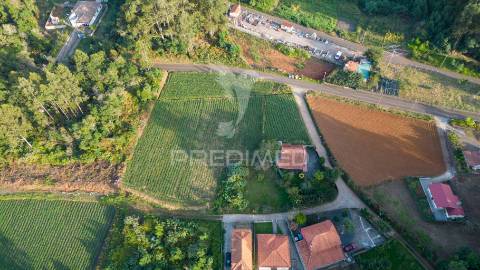 Terreno  com 1510m2 em são jorge - ilha da madeira
