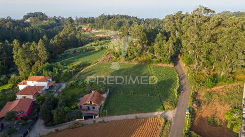 Terreno  com 1510m2 em são jorge - ilha da madeira