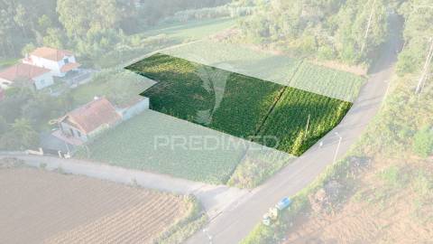 Terreno  com 1510m2 em são jorge - ilha da madeira