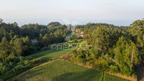 Terreno  com 1510m2 em são jorge - ilha da madeira