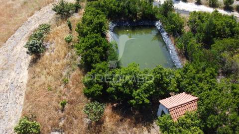 Propriedade com 9 ha a 10 minutos da praia