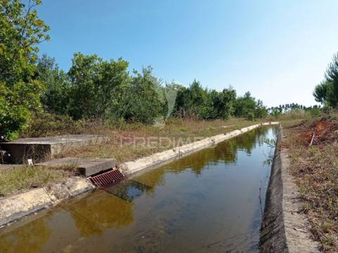 Propriedade com 9 ha a 10 minutos da praia