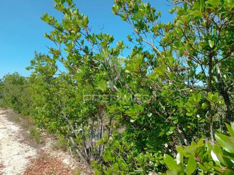 Propriedade com 9 ha a 10 minutos da praia