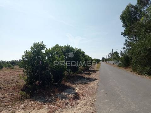 Propriedade com 9 ha a 10 minutos da praia