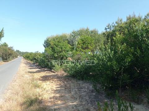 Propriedade com 9 ha a 10 minutos da praia