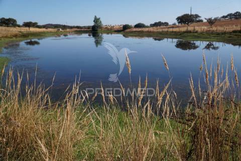 Herdade no alentejo