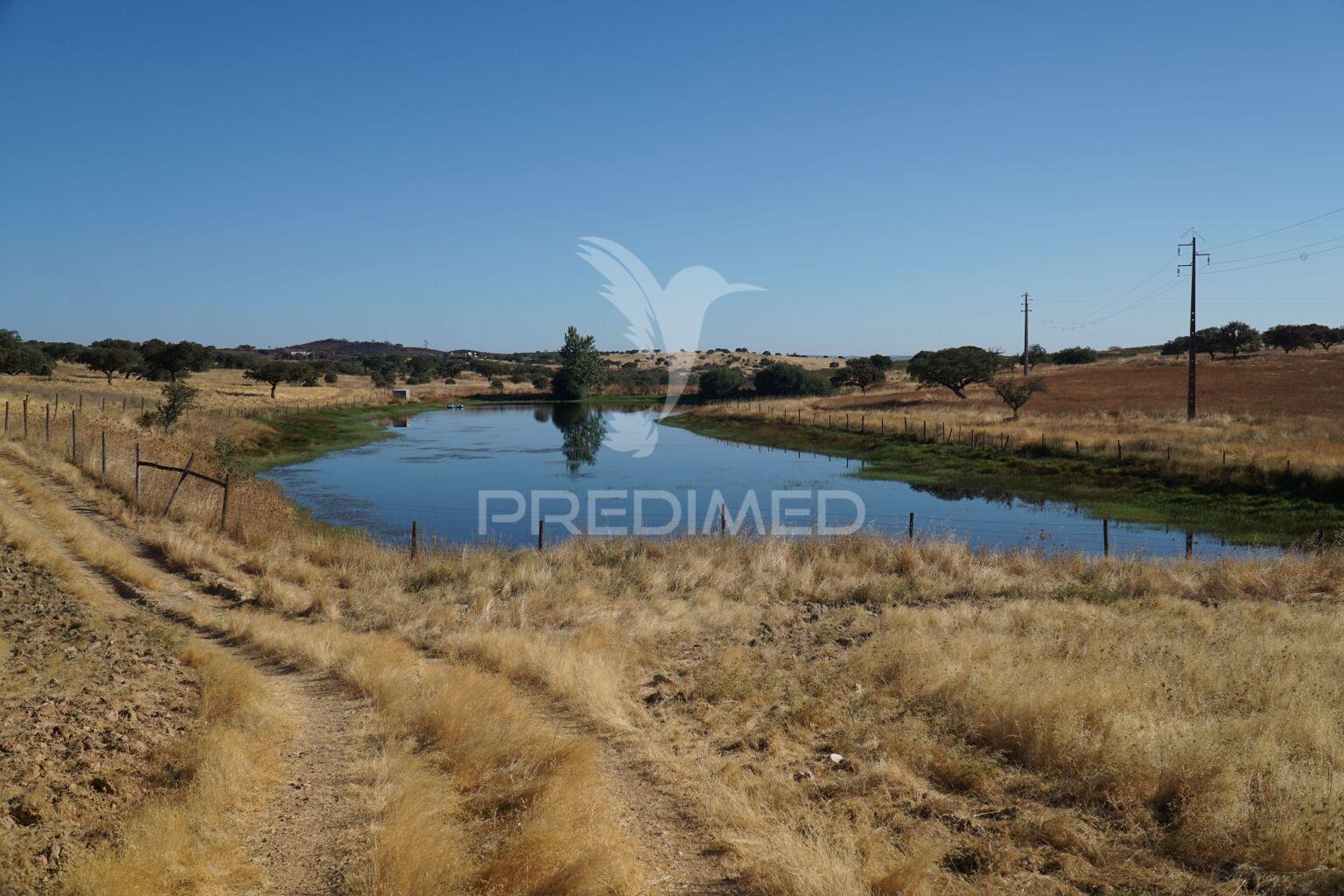 Herdade no alentejo
