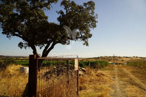 Herdade no alentejo