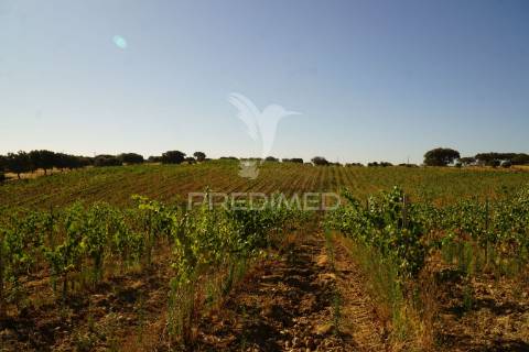 Herdade no alentejo