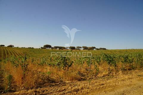 Herdade no alentejo