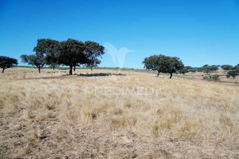 Herdade no alentejo