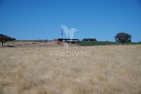 Herdade no alentejo
