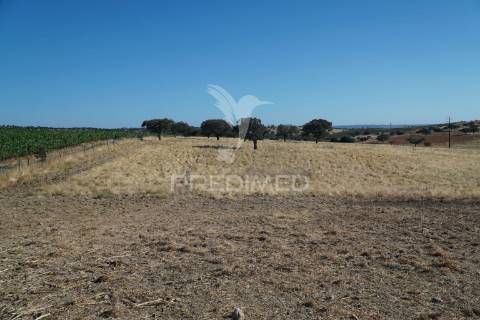 Herdade no alentejo