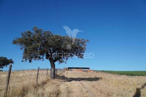 Herdade no alentejo