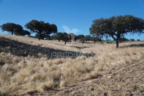 Herdade no alentejo