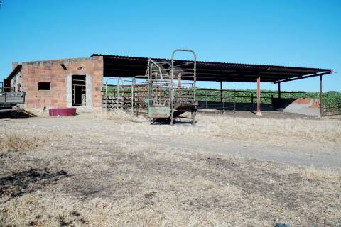 Herdade no alentejo