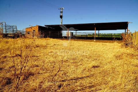 Herdade no alentejo