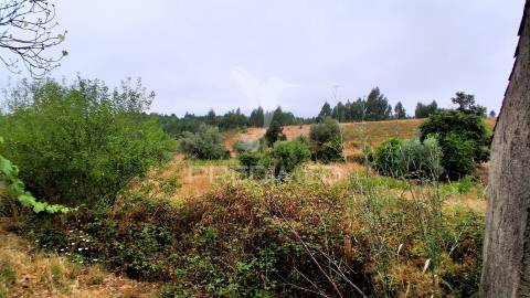 Conjunto de moradias em ruína e terrenos em penhascoso