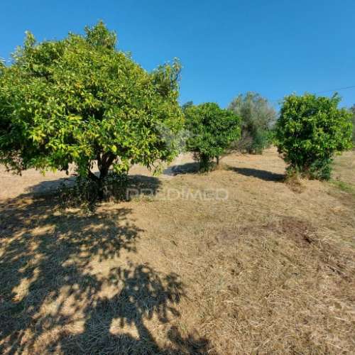 Moradia t3 , santarém , arneiro das milhariças.