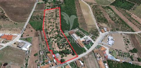 Quinta com ruína para recuperar, próximo das termas da curia.