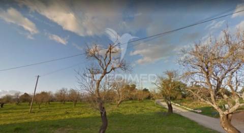 Terreno misto com 5,6 hectares a 3 km do centro de albufeira