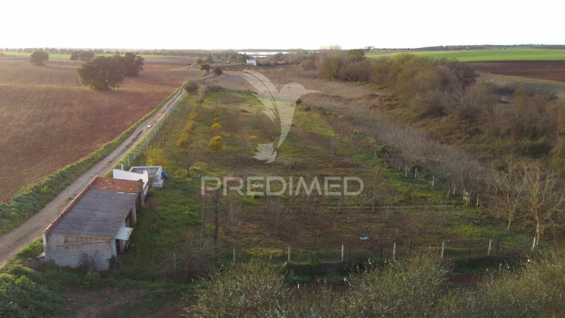 Terreno agrícola - são brissos , beja