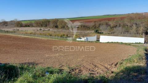 Terreno agrícola - são brissos , beja