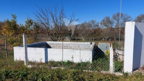 Terreno agrícola - são brissos , beja